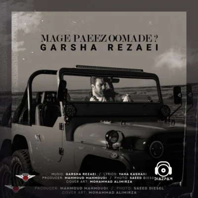 آهنگ مگه پاییز اومده از گرشا رضایی