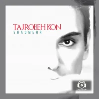 آهنگ روز سرد از شادمهر عقیلی